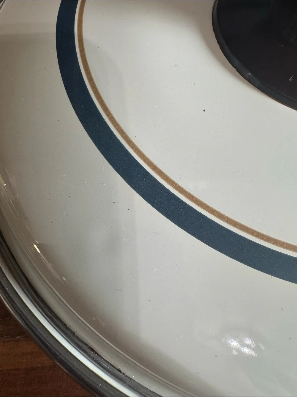 Vintage Country Goose Enamel 9